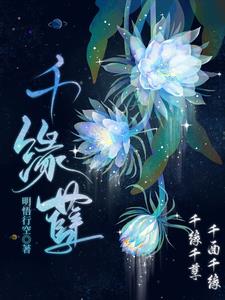 千金女贼